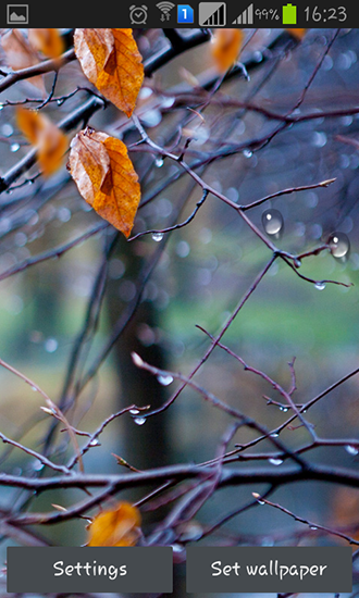Captura de tela do Pingos de chuva de outono em telefone celular ou tablet.