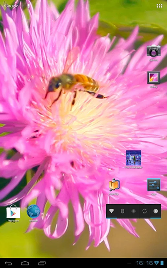 Captura de tela do Abelha em uma flor do trevo 3D em telefone celular ou tablet.