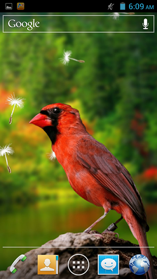 Captura de tela do Pássaros 3D em telefone celular ou tablet.