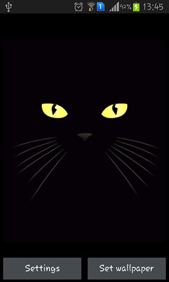 Captura de tela do Gato Negro em telefone celular ou tablet.