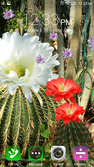 Captura de tela do Flores de cacto em telefone celular ou tablet.
