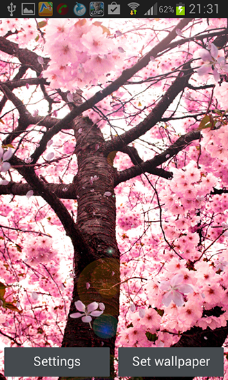 Captura de tela do Flor de cerejeira em telefone celular ou tablet.