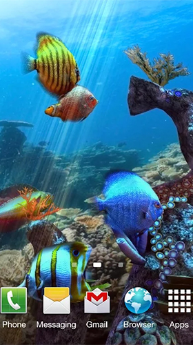 Aquário de peixes palhaços 3D 