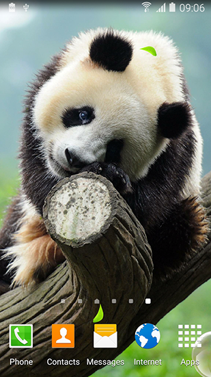 Captura de tela do Panda bonito em telefone celular ou tablet.