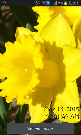 Captura de tela do Narcisos em telefone celular ou tablet.