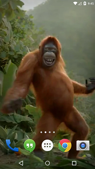 Captura de tela do Macaco que dança em telefone celular ou tablet.