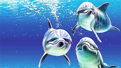 Golfinhos 3D 