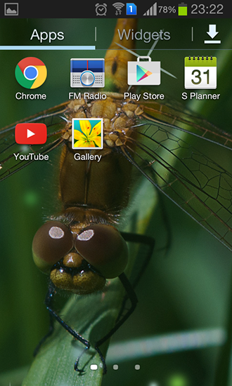 Captura de tela do Libélula em telefone celular ou tablet.