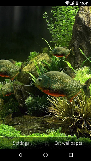 Captura de tela do Aquário de peixes 3D em telefone celular ou tablet.