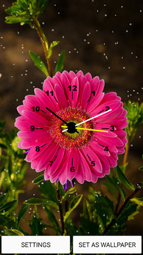 Captura de tela do Relógio de flores em telefone celular ou tablet.
