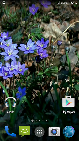 Captura de tela do Flores da floresta em telefone celular ou tablet.