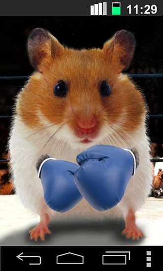 Captura de tela do Hamster engraçado: Tela rachada em telefone celular ou tablet.