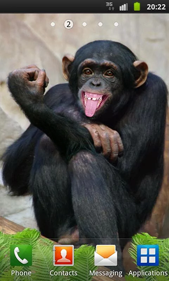 Captura de tela do Macaco engraçado em telefone celular ou tablet.