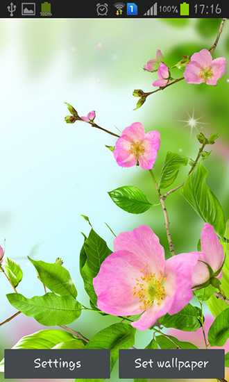 Captura de tela do Flores delicadas em telefone celular ou tablet.