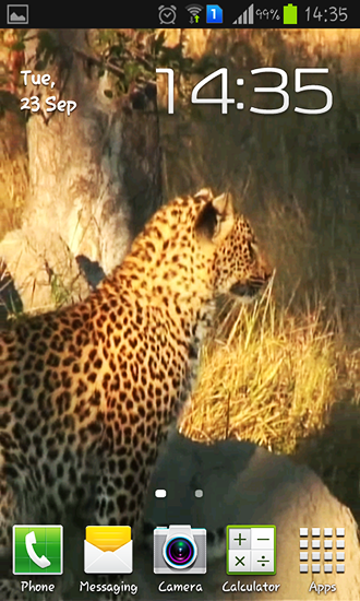 Captura de tela do Leopardo em telefone celular ou tablet.
