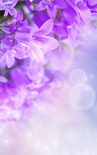 Captura de tela do Flores lilás em telefone celular ou tablet.