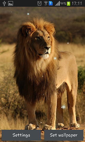 Captura de tela do Leões em telefone celular ou tablet.