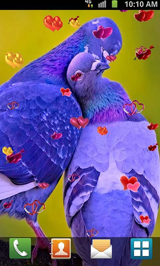 Captura de tela do Amor: Aves em telefone celular ou tablet.