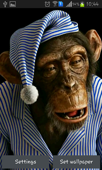Captura de tela do Macaco 3D em telefone celular ou tablet.