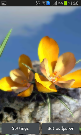 Captura de tela do Natureza ao vivo: Flores de Primavera 3D em telefone celular ou tablet.