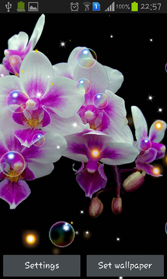 Captura de tela do Orquídea HD em telefone celular ou tablet.