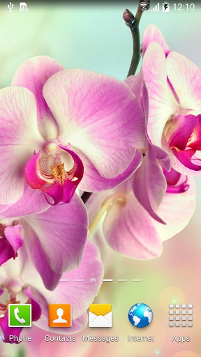 Captura de tela do Orquídeas em telefone celular ou tablet.