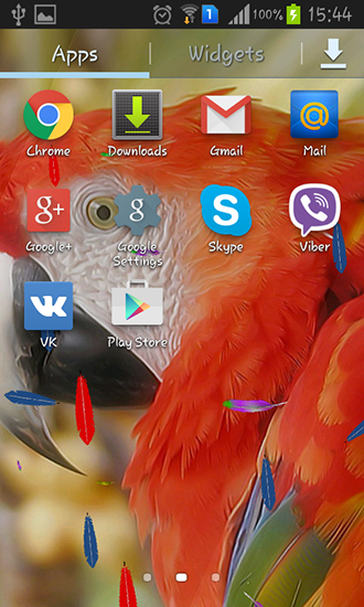 Captura de tela do Papagaio em telefone celular ou tablet.