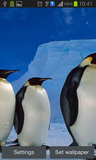 Captura de tela do Pinguim em telefone celular ou tablet.