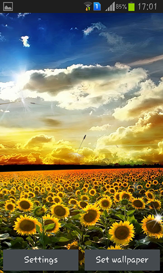Captura de tela do Por do sol perfeito em telefone celular ou tablet.