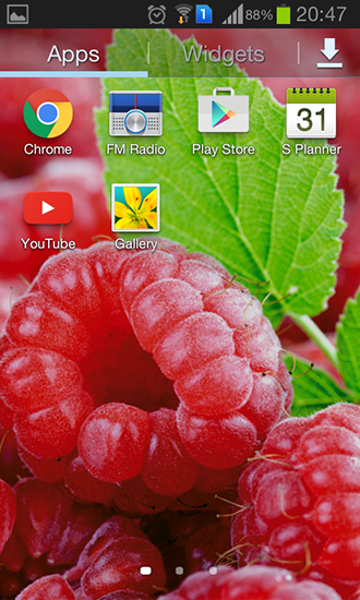 Captura de tela do Framboesas em telefone celular ou tablet.