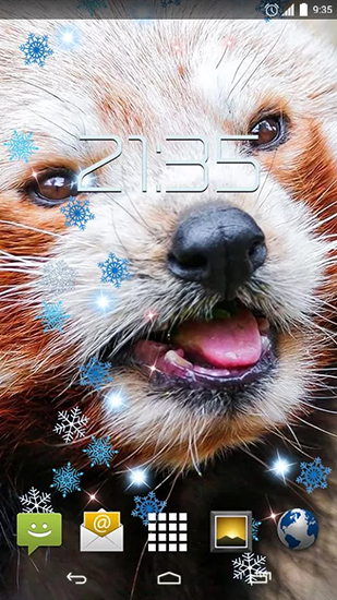 Captura de tela do Panda vermelho em telefone celular ou tablet.