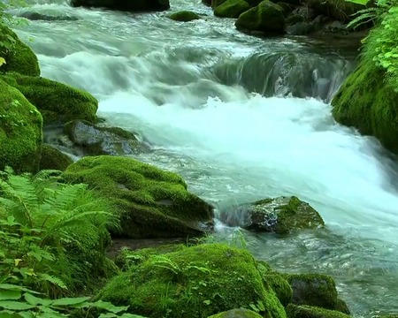 Captura de tela do O fluxo do rio em telefone celular ou tablet.