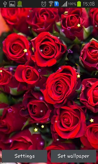 Captura de tela do Rosas e amor em telefone celular ou tablet.