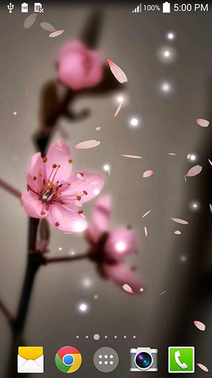 Captura de tela do Sakura 3D em telefone celular ou tablet.