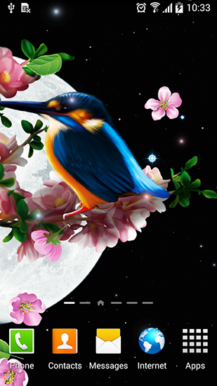 Captura de tela do Sakura e o pássaro em telefone celular ou tablet.