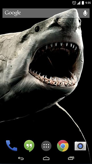 Captura de tela do Tubarão 3D em telefone celular ou tablet.