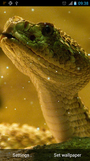 Captura de tela do Serpente em telefone celular ou tablet.