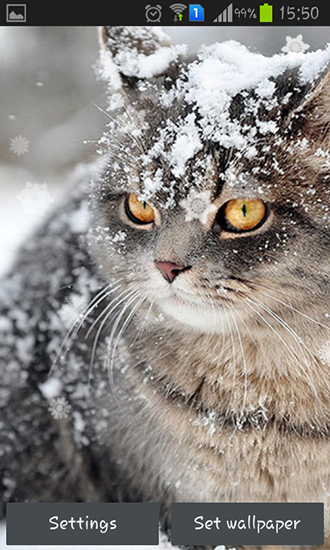 Captura de tela do Gatos de neve em telefone celular ou tablet.