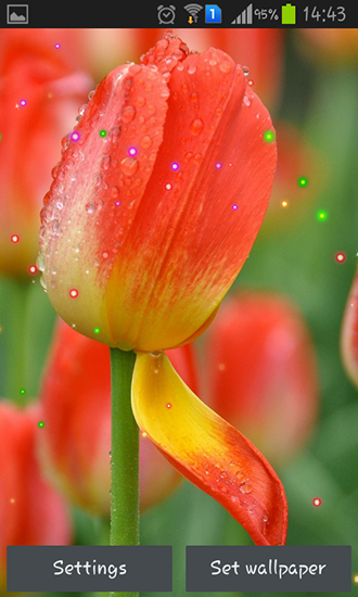 Captura de tela do Lírios e tulipas da Primavera em telefone celular ou tablet.