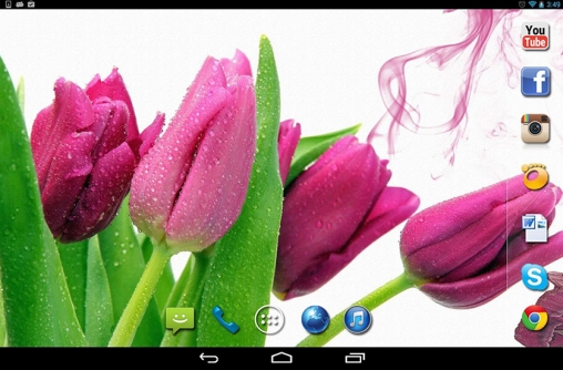 Captura de tela do Chuva de primavera em telefone celular ou tablet.