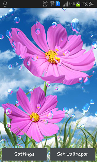 Captura de tela do Chuva de verão: Flores em telefone celular ou tablet.