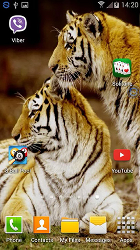 Captura de tela do Tigres: Agite e altere em telefone celular ou tablet.
