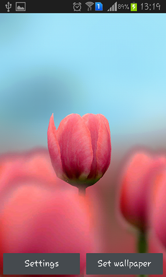 Captura de tela do Tulipa 3D em telefone celular ou tablet.