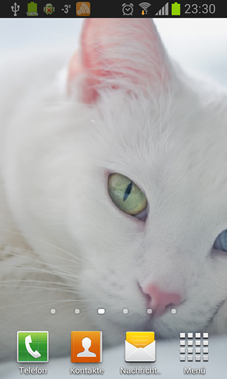 Captura de tela do Os gatos brancos em telefone celular ou tablet.