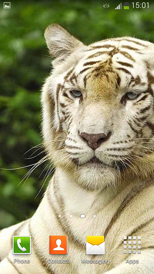 Captura de tela do Tigre branco em telefone celular ou tablet.