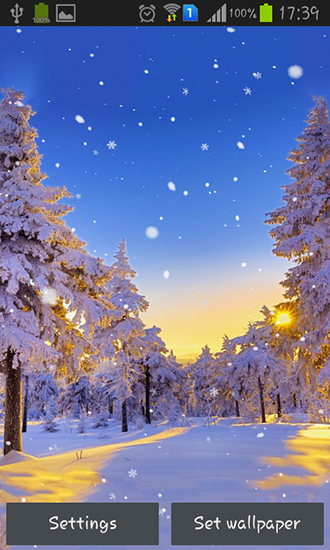 Captura de tela do Floresta de Inverno  em telefone celular ou tablet.