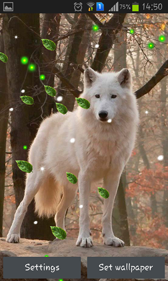 Captura de tela do Mistério de lobos  em telefone celular ou tablet.