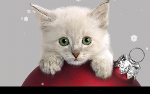 Captura de tela do Gato de Natal em telefone celular ou tablet.