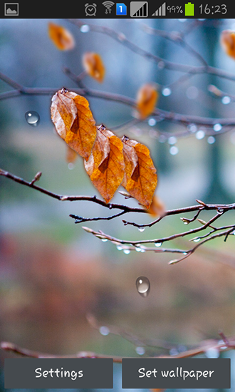 Pingos de chuva de outono