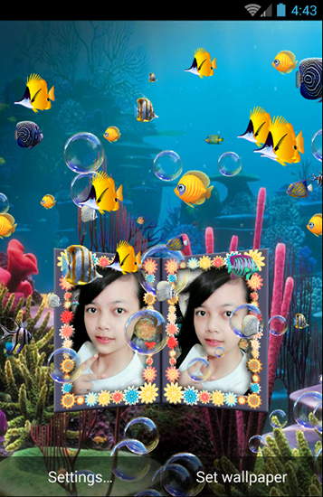 Fotos em aquário
